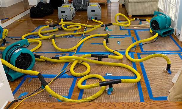Professional Crawl Space Water Removal technician working in Needville, TX